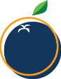 The Blue Tangerine Federation